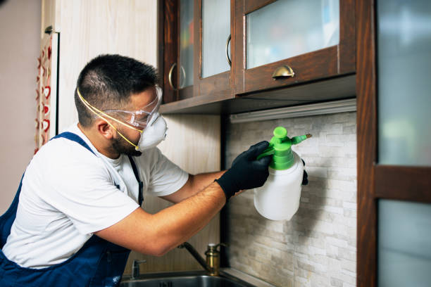 Best Affordable Pest Control Services  in Minnetonka, MN