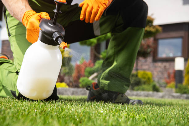 Best Residential Pest Control  in Minnetonka, MN
