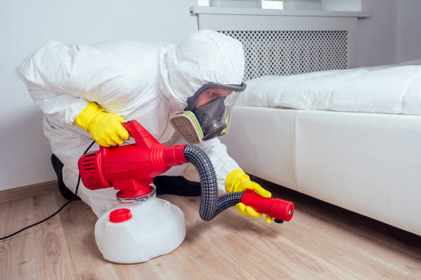 Best Affordable Pest Control Services  in Minnetonka, MN