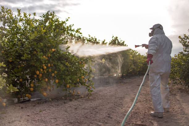 Professional Pest Control in Minnetonka, MN