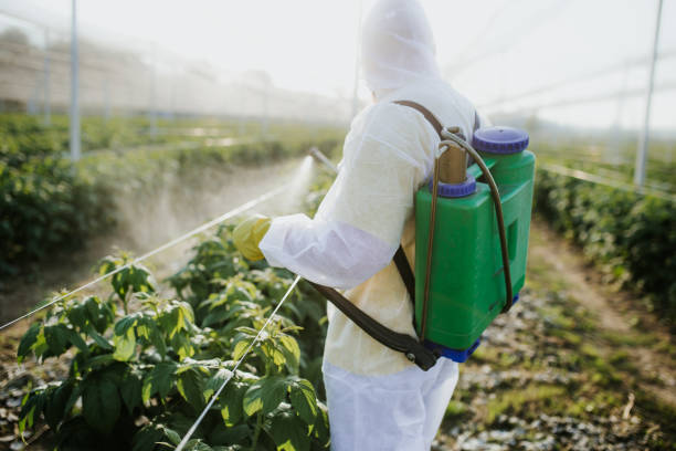 Trusted Minnetonka, MN Pest Control Experts